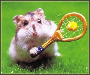 un hamster qui fait des effort